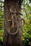 bike003.jpg