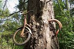 bike004.jpg