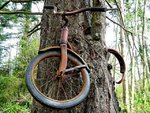 bike005.jpg