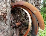 bike006.jpg