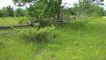 IMG_1145.jpg
