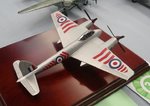 3_Hornet_7548.jpg