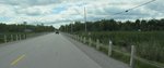 IMG_1136.jpg