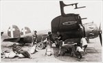 Breda Ba-88 Lince 001.jpg
