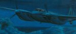stalker_mossie_05071cc.jpg
