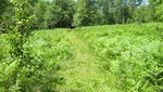 IMG_1158.jpg