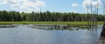 IMG_1167.jpg