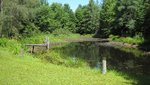 IMG_1194.jpg