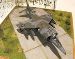 Harrier 068.jpg