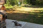 IMG_1204.jpg