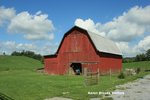 07 27 12_1101 barn resized 25 legal.jpg