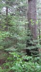 IMG_1220.jpg