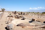 DSC_4200.jpg