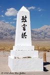 DSC_4219.jpg