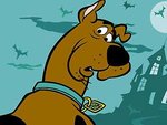 1_62_scooby_doo.jpg