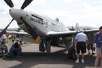 Mustang 1.jpeg
