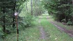 IMG_1251.jpg