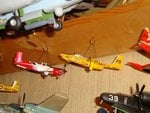 DSC07004.jpg