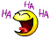smiley-laughing024.gif