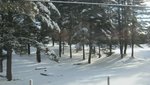 IMG_0708.jpg