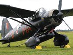 lysander-2b_182.jpg