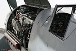 img_07241_100.jpg