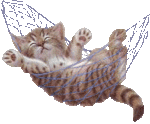 kitty_102.gif