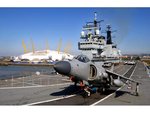 harrier_3_105.jpg
