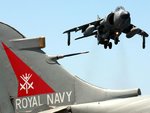 harrier_2_203.jpg