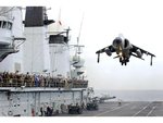 harrier_419.jpg