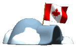 igloo_with_canadian_flag_lg_clr_127.gif