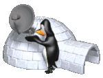penguin_igloo_satellite_tv_lg_clr_207.gif