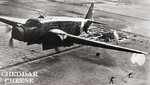 sm82_173.jpg