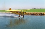 cub_on_the_water_184.jpg