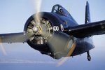 f2.wildcat.nose_416.jpg
