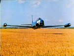 ormand_haydon_balllie_cutting_the_corn_near_duxford_in_1974_in_his_t33_black_knight_182.jpg