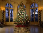 ob_tannenbaum_227.jpg