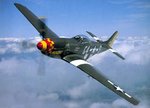 p5113_111.jpg