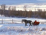 winter_wonderland_483.jpg
