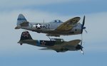 IL-2 3.jpg