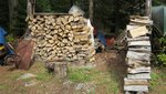 IMG_1316.jpg