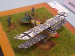 2_Albatros DV_5143.JPG