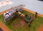 2_Albatros DV_5192.JPG
