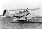 JF-21935.jpg