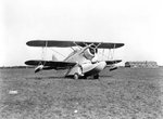 XJF-1.jpg