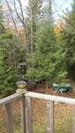 IMG_1340.jpg