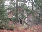 IMG_0134.jpg