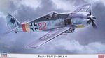 Fw190A-9_Hasegawa.jpg