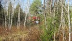IMG_1392.jpg