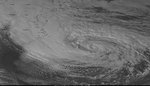 sandy_goes.jpg